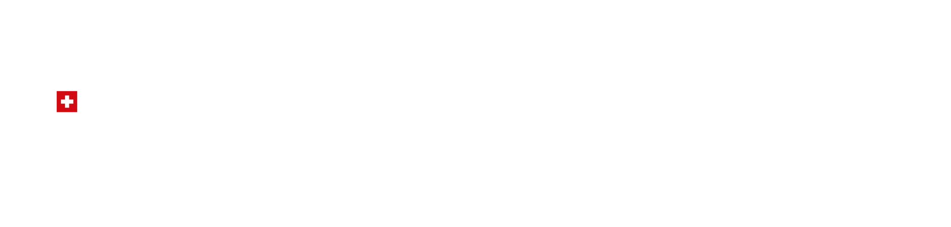 Impresa Vincente